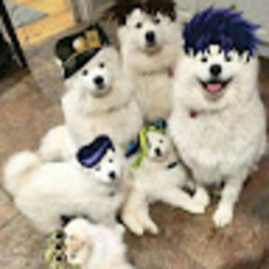 Meet your Posher, Esteban